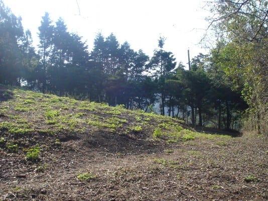 Terreno en Venta, Lotificación Buenos Aires, km. 22 Carretera a El Salvador — foto 2 de 15