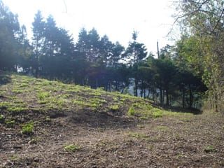 Terreno en Venta, Lotificación Buenos Aires, km. 22 Carretera a El Salvador — miniatura 2 de 15