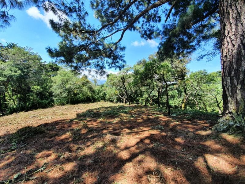 Terreno en Venta, Lotificación Buenos Aires, km. 22 Carretera a El Salvador — foto 5 de 15