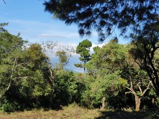 Terreno en Venta, Lotificación Buenos Aires, km. 22 Carretera a El Salvador — miniatura 6 de 15