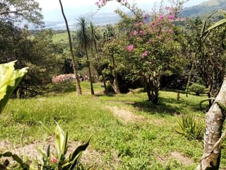 Terreno en Venta en Carretera a Santa Elena Barillas -- TDV2030 — miniatura 5 de 11