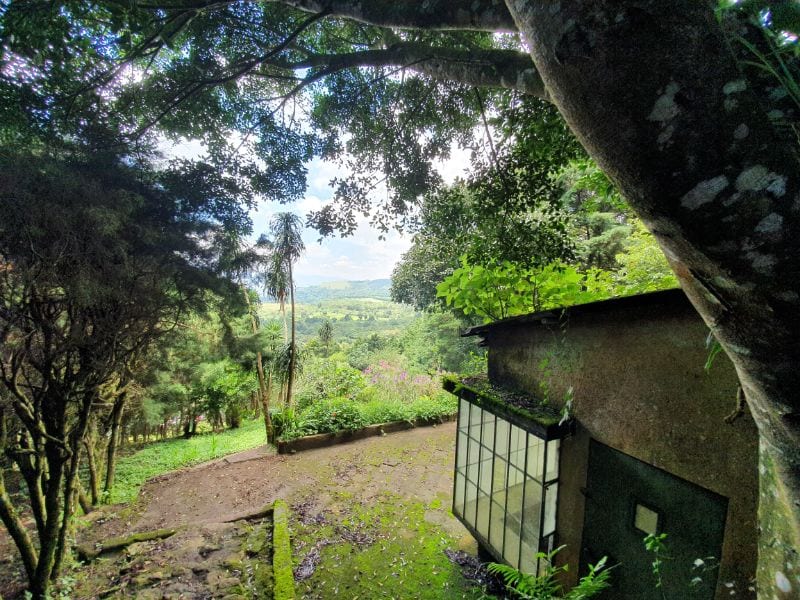 Terreno en Venta en Carretera a Santa Elena Barillas -- TDV2030 — foto 6 de 11