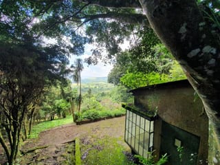 Terreno en Venta en Carretera a Santa Elena Barillas -- TDV2030 — miniatura 6 de 11