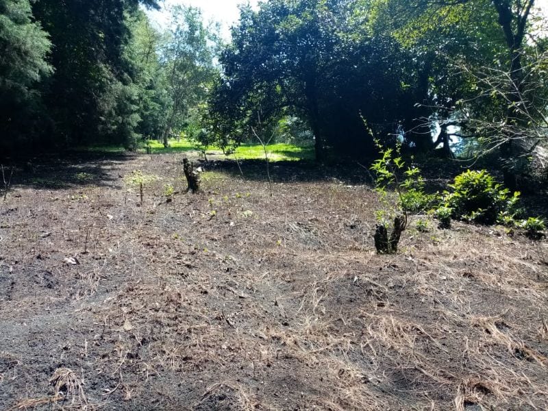 Terreno en Venta en Carretera a Santa Elena Barillas -- TDV2030 — foto 10 de 11