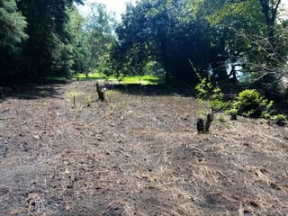 Terreno en Venta en Carretera a Santa Elena Barillas -- TDV2030 — miniatura 10 de 11