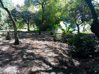 Terreno en Venta en Carretera a Santa Elena Barillas -- TDV2030 — miniatura 8 de 11