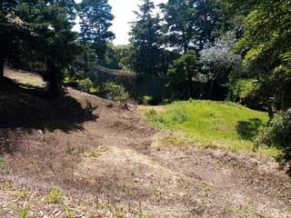 Terreno en Venta en Carretera a Santa Elena Barillas -- TDV2030 — miniatura 11 de 11