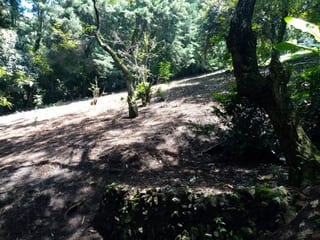 Terreno en Venta en Carretera a Santa Elena Barillas -- TDV2030 — miniatura 9 de 11