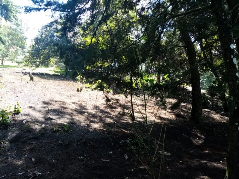 Terreno en Venta en Carretera a Santa Elena Barillas -- TDV2030 — foto 7 de 11
