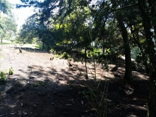 Terreno en Venta en Carretera a Santa Elena Barillas -- TDV2030 — miniatura 7 de 11