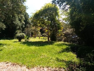 Terreno en Venta en Carretera a Santa Elena Barillas -- TDV2030 — miniatura 4 de 11