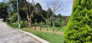 Terreno en Venta en Fraijanes  -- TDV2139 — miniatura 4 de 14