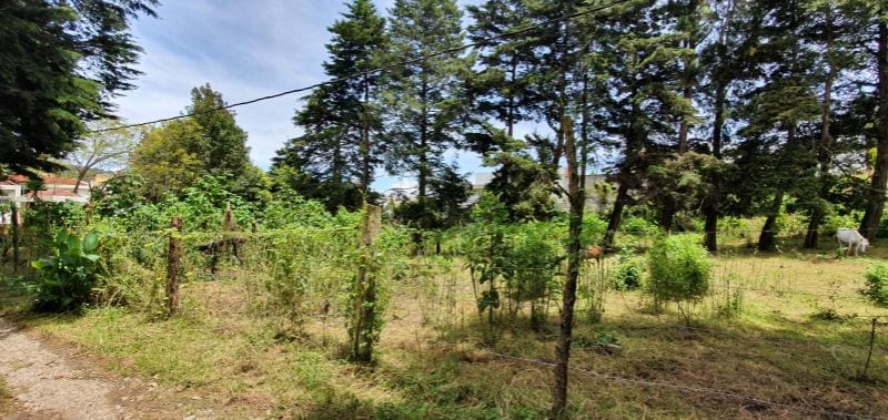 Terreno en Venta en Fraijanes  -- TDV2139 — foto 11 de 14