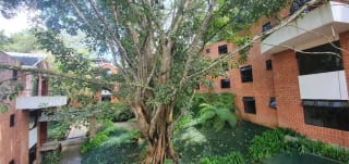 Apartamento en Villa Cafetto — miniatura 1 de 14